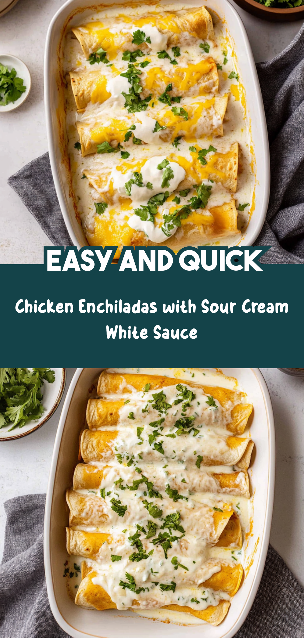 Chicken Enchiladas with Sour Cream White Sauce