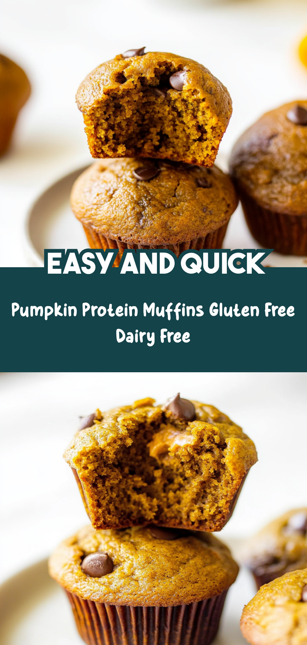 Pumpkin Protein Muffins (Gluten free, Dairy Free)